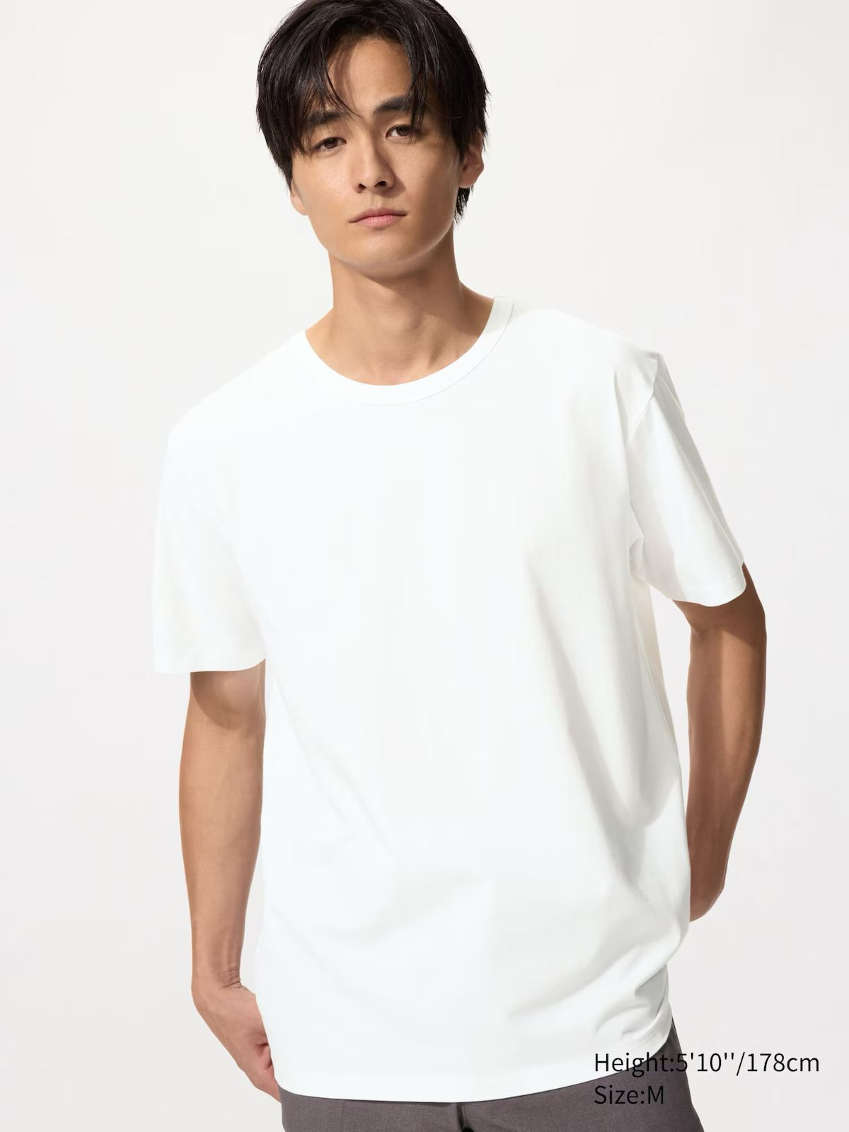 AIRism Cotton Crew Neck T-Shirt White